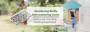 Birdfy Coupon Codes 2024 Banner