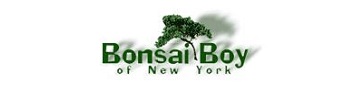 Bonsai Boy Discount Codes 2024 Logo