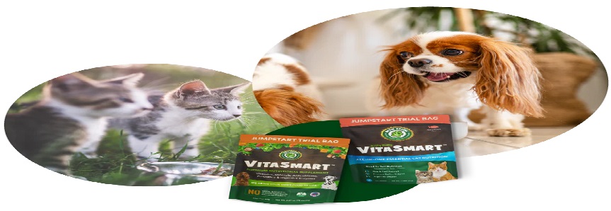 Ruff Greens Discount Codes 2024 Banner